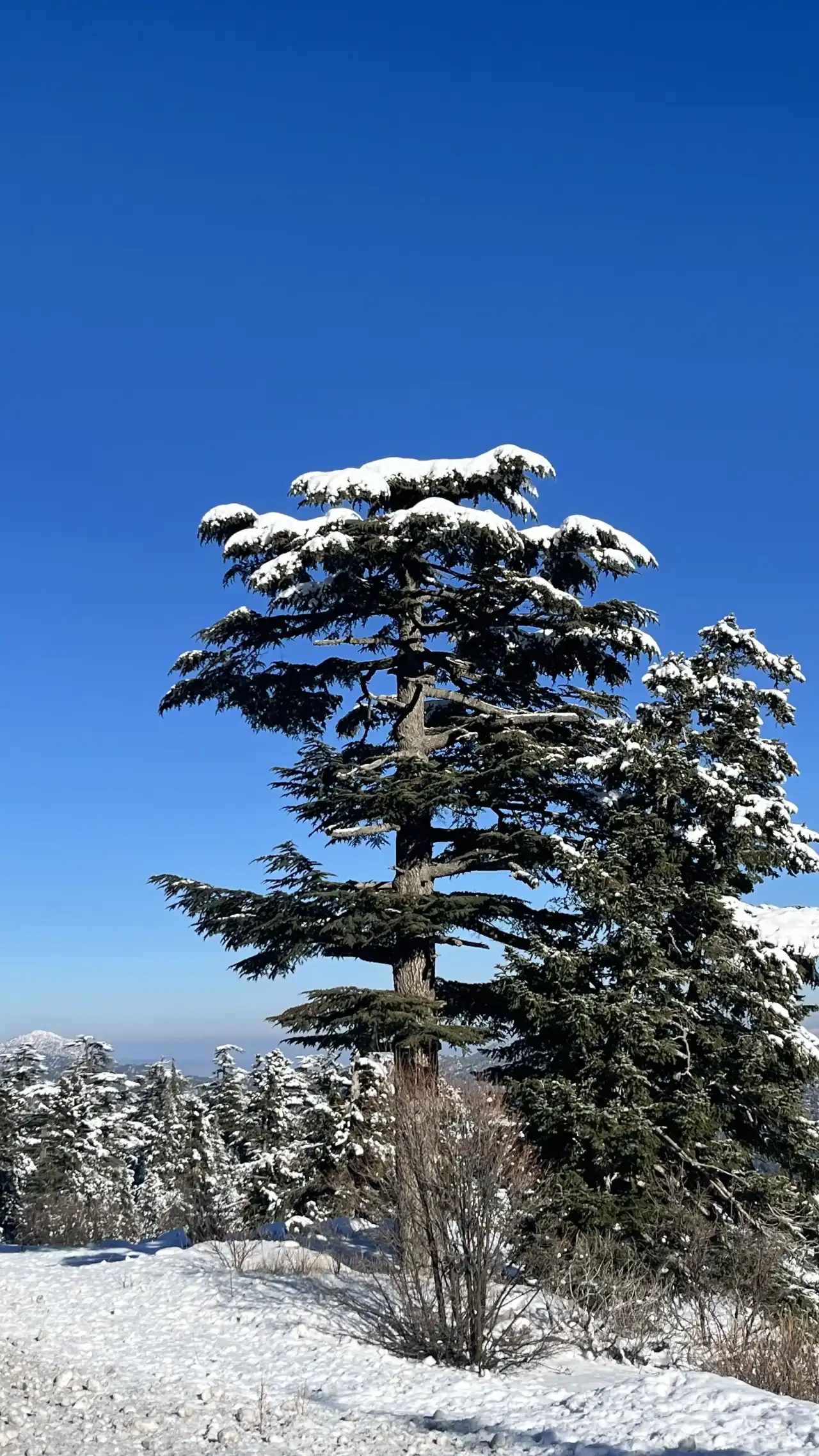 Antalya’da Kar Sonrası Kartpostallık Manzara 4